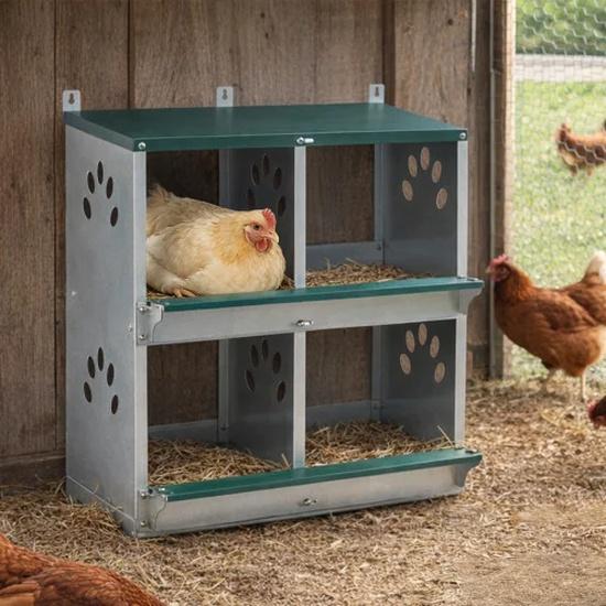 4 Compartment Wall Mount Galvanized Metal Chicken Nesting Boxes, Heavy Duty Egg Laying Nest Box for All Breeds of Hens
