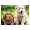 Puzzle Life Rabbit and Dog Jigsaw Puzzle PL150-42, Korean Popular Puzzles