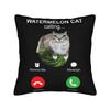 Printed Watermelon Cat Phone Calling Pillowcase Fabric Cushion Cover Decoration Brainrot Funny Meme Throw Pillow Case Cover Home