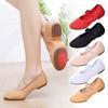 Non Tied Ballet Shoes For Women's Body Dance, Ballet, Outdoor Wear, Heel 1cm