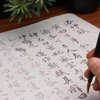 Guide de Calligraphie 'Ode à la Déesse de la Rivière Luo' de Zhu Yunming: Carnet d'écriture en écriture courante rouge pour débutants - Grand rouleau