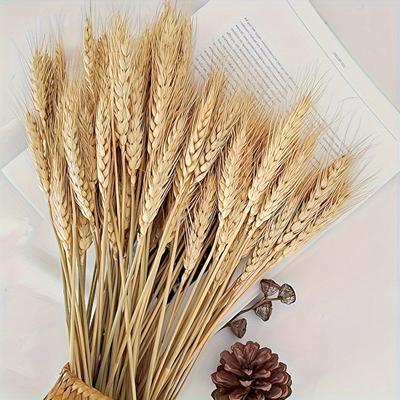 50pcs High Quality Natural Wheat Ears - DIY Farmhouse Decor, Table Centerpiece, Wedding & Party Embellishment, Harvest Wreath