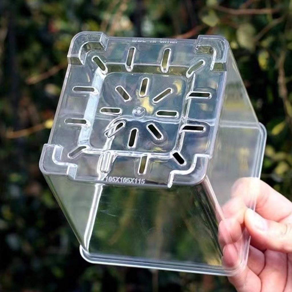 Clear Breathable Plant Container Desktop Ornament Planter Plant Pot Crafts Decors Planter Landscape Crafts