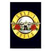 Guns N Roses Logo Poster