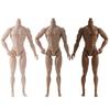 31cm Height Male Model White Normal Tan Action Figure Body Birthay Gifts 1/6 Male Body  DIY Toy