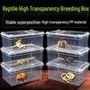 Reptile Habitat Tank for Silkworms, Spiders, Frogs, Snakes, Lizards, Snails, Insects, and Turtles