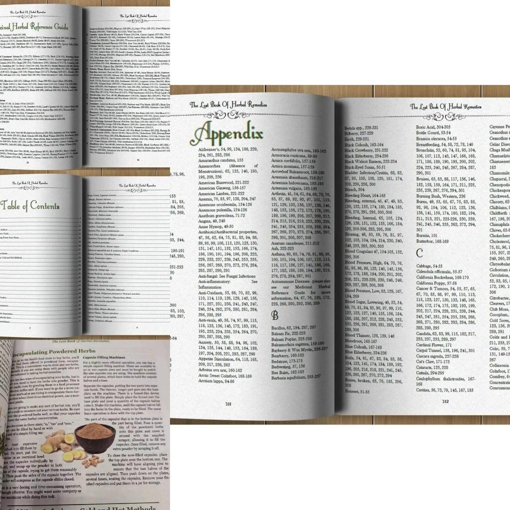 Ztracená kniha bylinných léků Komplexní průvodce přírodními léčebnými řešeními