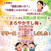 Reefcoco Kishu-Style Mild Dried Ume with Honey Pitted Ume 500g Stand-up Bag Wholesale Nanko Ume Pickled Plum Ume Sweets Ume Confectionery