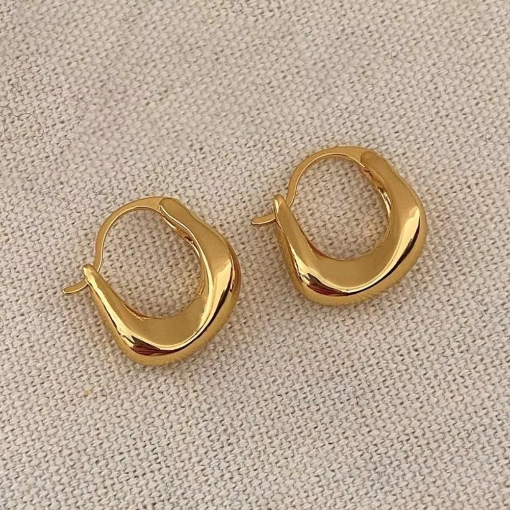 Versatile Chunky Hoop Earrings Simple Ear Pendant Vintage Drop Earrings  Women