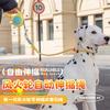 Retractable Dog Leash Walking Small Medium Large Dogs Auto Pet Lead With Comfort Handle