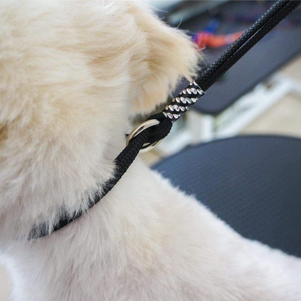 Magic Silicone 8cm Suction Cup Bite-Resistant Cat Restraint & Pet Grooming Leash