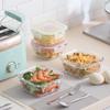 Camellia Square Glass Food Container Set for Lunch & Microwave