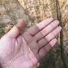Outdoor Dome Camping Mosquitoes Netting Travel Fly Netting Portable Meshs Tent for Outdoor Camping Hiking Enduring