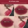Automatic Rotating Lip Liner, Waterproof Long Lasting Lip Pencil, Velvet Matte Finish, Moisturizing Smudge-Proof