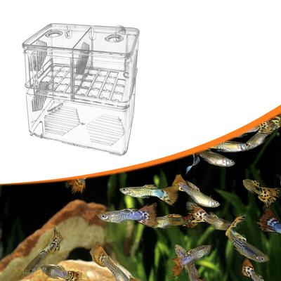 Aquarium Fish Breeder Box Hatching Incubator Clear Accessory Acrylic Isolation Separator