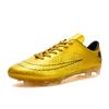 Low-top Football Shoes, Boys and Girls, Students, Artificial Grass, Long and Short Nails, One Adult Game Shoe 2025