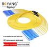 Boyang 8-Core SC-SC Single Mode Fiber Optic Patch Cord