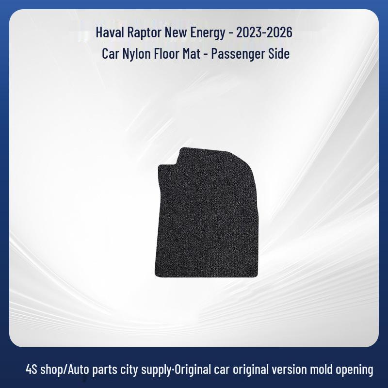 Haval Menglong New Energy - Wear-Resistant Black Nylon Car Floor Mats (2023-2026)