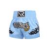 Muay Thai UFC MMA Boxing Shorts: Sanda Summer Training Pants