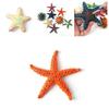 Realistic Marine Life Starfish Models For Children Cognitive Beach Toys Assorted Colors