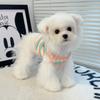 Autumn New Fleece Pet Vest Striped Dog Cat Clothes Leash Attachment Design for Teddy Bichon Pomeranian