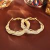 European & American INS Style Gold Mesh Earrings – High-End Fashion, Luxury, and Contemporary Design