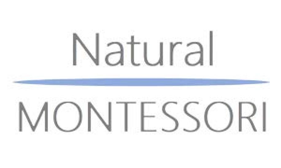 Montessori teaching tools Fitted puzzle B of montessori education natural montessori authentic teaching materials wooden educational supplies for