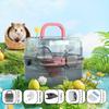 Hamster Cage with Transparent Upper Cover Matte Bottom Design Dual Use Indoor Outdoor Cooling Feature Pet House
