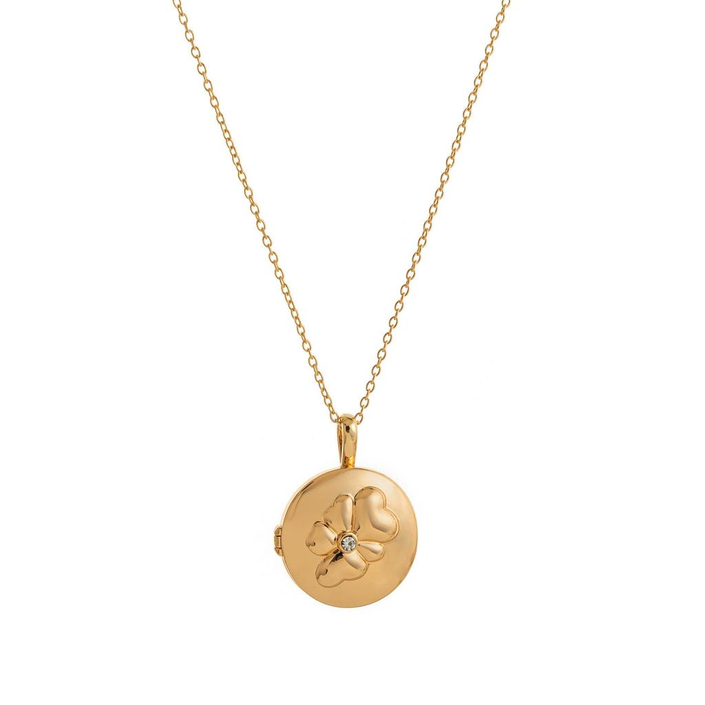 Heart-Shaped Floral Photo Pendant Necklace with LOVE Clasp, Niche Design Clavicle Chain, Pastoral Style.
