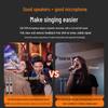 SANSUI K91 Luxury All-in-One Portable KTV Speaker System with Display (CN version)