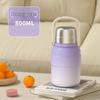 Large Capacity Insulated Water Bottle