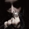 Gothic Irregular Spider Webs Animal Rings Punk Crystal Ball Zircon Ring Hip Hop Cool Open Rings for Women Halloween Jewelry