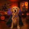 Comfortable Halloween Pet Costume Adjustable Dogs Knight Cape Cat Cosplay Cloak  All Saints' Day