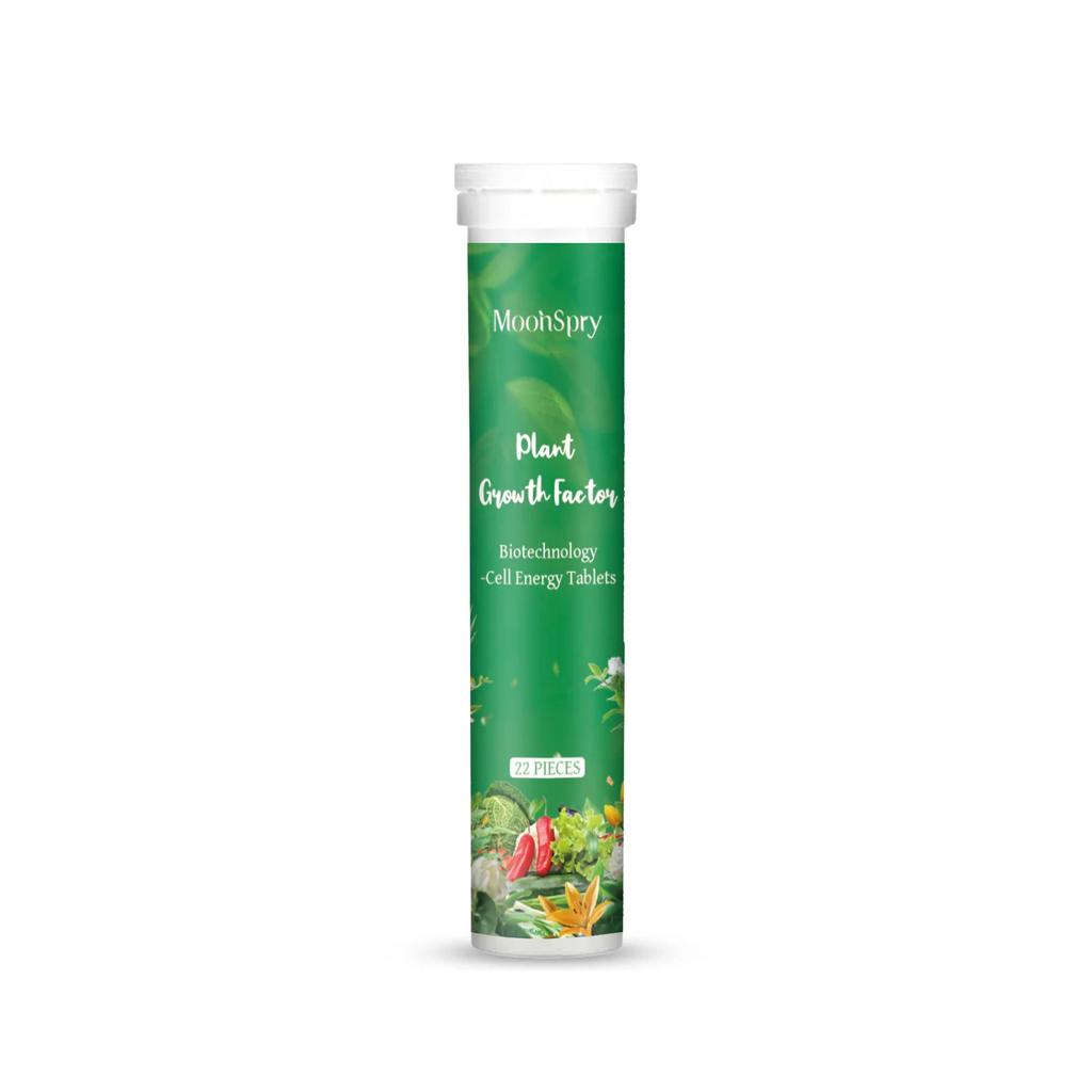 Universal Indoor Potted Plant Fertilizer Slow Release Organic Nutrient with Nitrogen And Phosphorus for Flowering Succulents