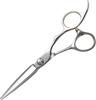 DEEDS GTZ Sword Scissors by Japanese Scissors Professional Haircutting Scissors for Hairdressers [PF] (5.5 Inches) Manufacturer,