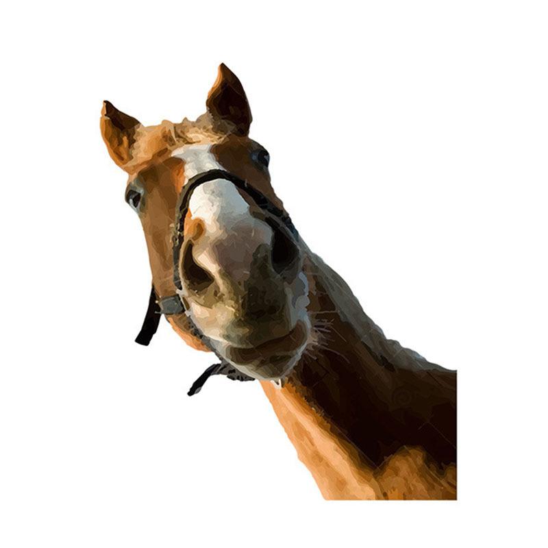 

Наклейки Голова Лошади Украшение для Дома Стеклянные Наклейки Декоративные Наклейки на Стену Животное Стеклянные Наклейки Украшение для Фоновой Стены
