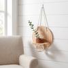 Vase Wall Mounted Planter Home Ornaments Flower Pot Hydroponic Planter Shelf  Living Room