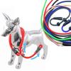 Cães – Colares e correias para cães