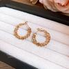 Silver Needle Irregular Broken Tremella Ring Retro ins Simple and Exquisite Commuter Earrings Light Luxury Premium Earrings