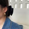French Commuter Thin High-end Stud Earrings Niche Design European and American Cold Light Luxury Versatile Unique Earrings