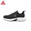 Peak Taiji Cushioning Running Shoes TE25401H