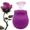 G-Spot Vaginal Vibrator Vlitoral Nipple Sucking Ctimulator 10 Sucking Modes Vibrating Egg Adult Sex Toys for Women & Couples