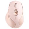 Periferice pentru calculatoare – Mouse-uri