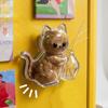 Creative Pet Hair Keepsake Box Transparent Cat Hair Storage Box  for Dog Cat Hair