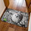 Süßes Flauschiges Weißes Katze Fußmatte 2D Rissiger Boden Katze Rutschfeste Eingangsteppich Lustige Tierliebhaber Dekorativer Boden Teppich für Flur