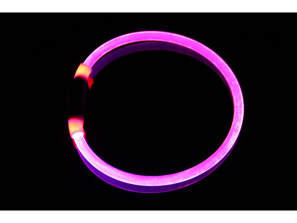 Helle Transparente PU Leuchtendes Hundehalsband für die Nacht