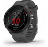 Garmin Forerunner 55 Smart Watch Gray 0100256213