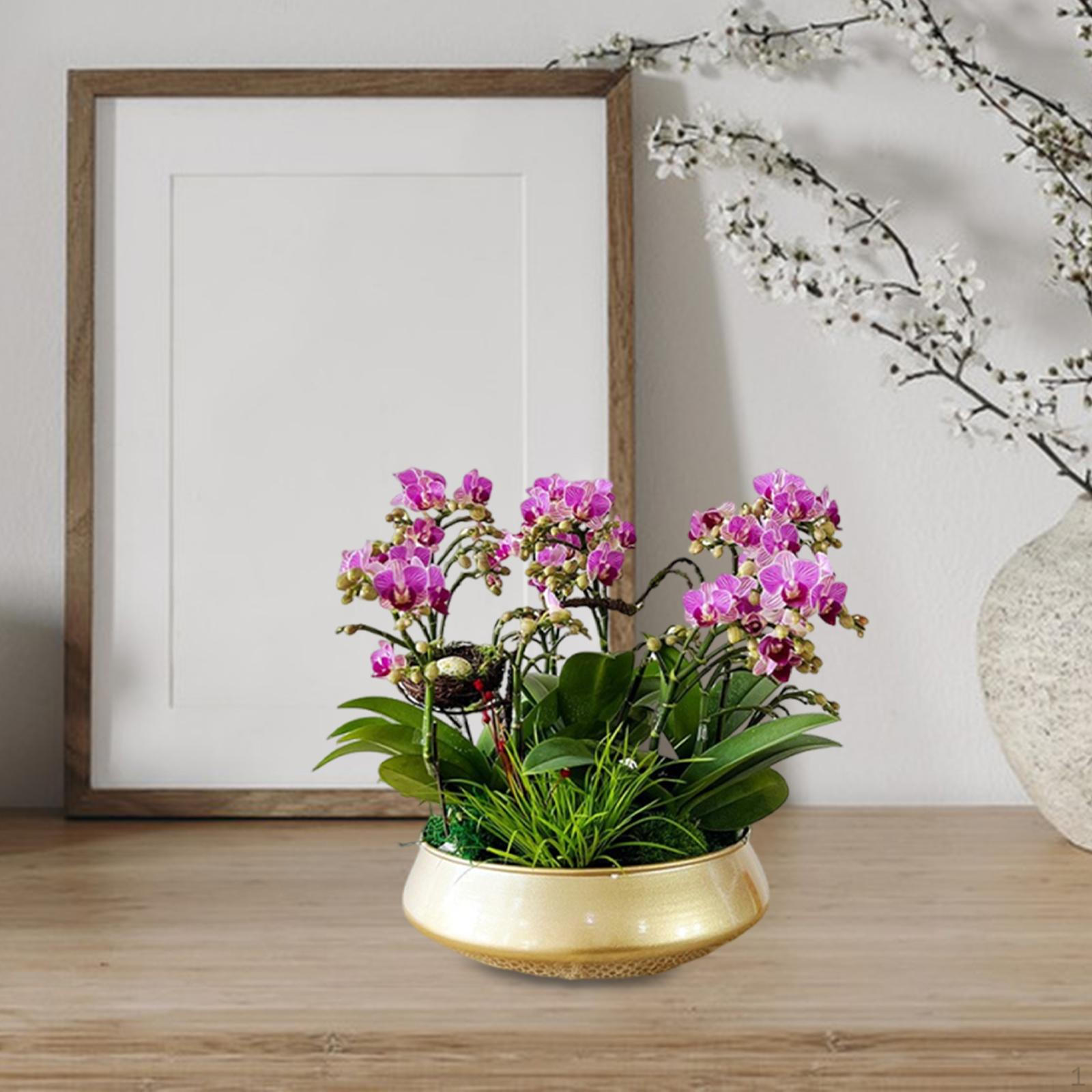 

Цветок Цветочный горшок Железный горшок-кашпо Настольное украшение для комнатных и уличных растений Полка Стол Домашний декор 29x10cm