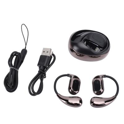 Bluetooth Translation Earphones Ear Hook 4 Modes 80 Languages 5 Hours Worktime AI Translatior