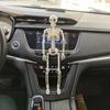 Car Interior Accessories Human Bones Skeleton Model Halloween Props Car Rearview Mirror Pendant
